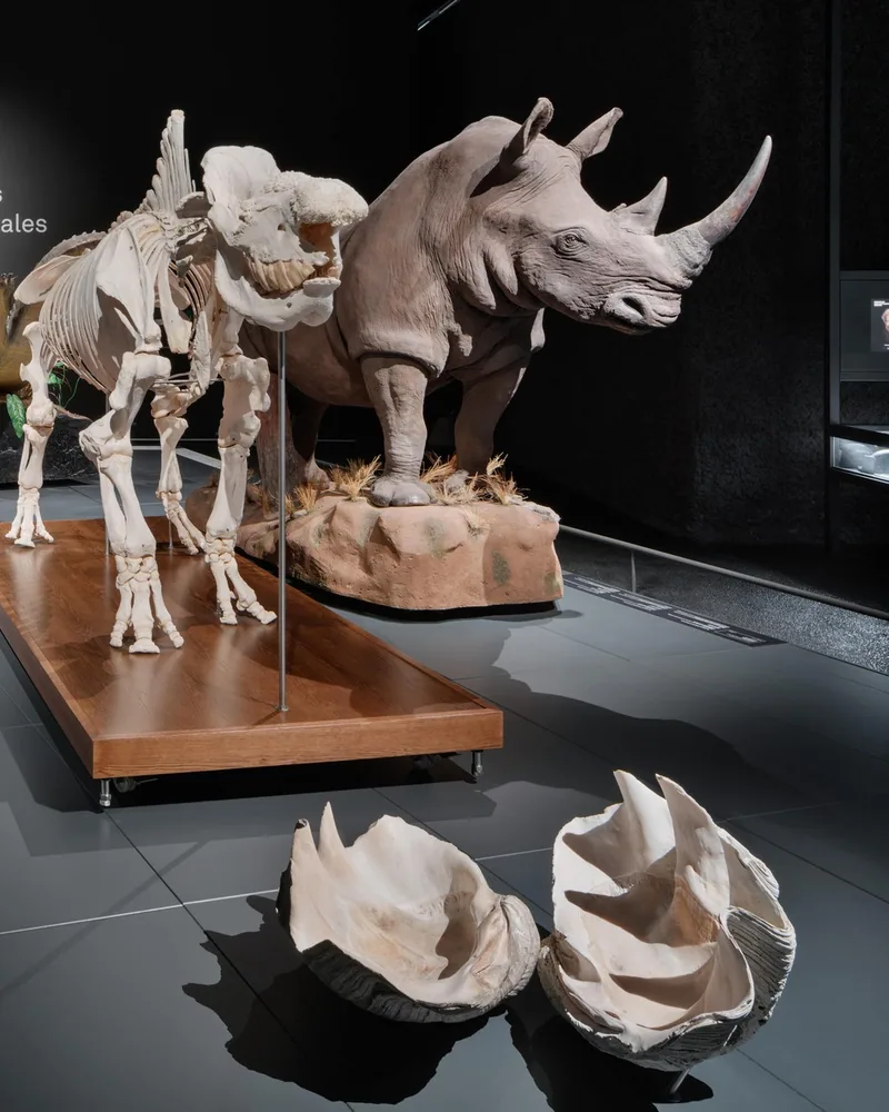 Natural Science Museum