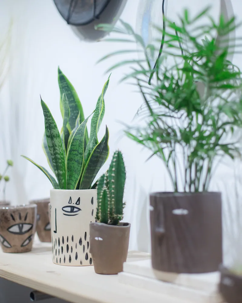 Wohha studio & Coffee Shop